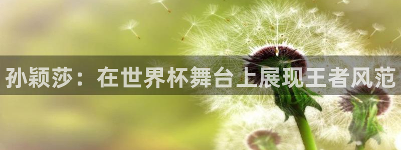 2006年世界杯冠军:孙颖莎:在世界杯舞台上展现王者风范