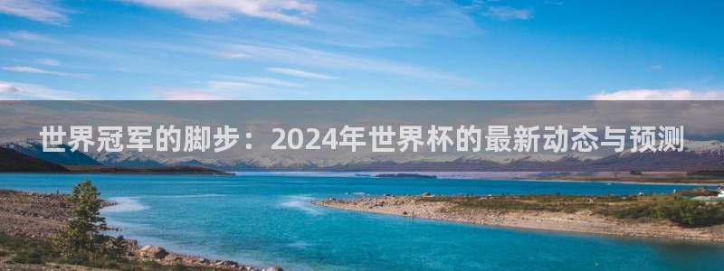 法国杯2026赛程表:世界冠军的脚步:2024年世界杯的最新动态与预测