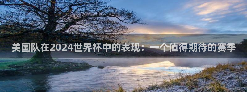 世界直播:美国队在2024世界杯中的表现:一个值得期待的赛季