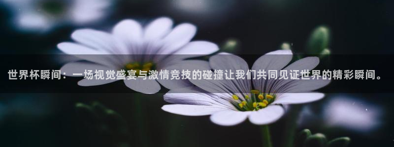 2026年世界杯赛程表时间:世界杯瞬间:一场视觉盛宴与激情竞技的碰撞让我们共同见证世界的精彩瞬间。