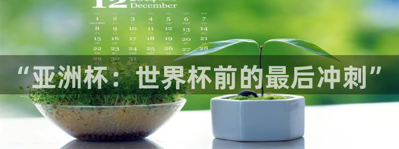 世界杯赛程时间表:“亚洲杯:世界杯前的最后冲刺”