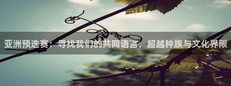 欧洲世界杯预选赛:亚洲预选赛:寻找我们的共同语言,超越种族与文化界限