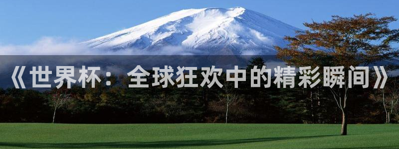 2026年世界杯对阵图:《世界杯:全球狂欢中的精彩瞬间》